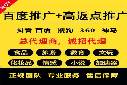 百度竞价代运营公司成功案例分析