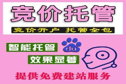 竞价推广公司案例分析：成功案例解析